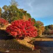 ヒメ日記 2025/12/02 09:49 投稿 ふう 多治見・土岐・春日井ちゃんこ