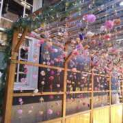 ヒメ日記 2026/02/19 10:09 投稿 ふう 多治見・土岐・春日井ちゃんこ