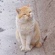 ヒメ日記 2026/03/08 09:14 投稿 あい 脱がされたい人妻 熊谷店