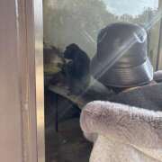 ヒメ日記 2025/11/20 18:01 投稿 ノノカ 姫路ラビット