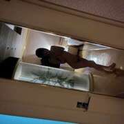 ヒメ日記 2025/12/27 21:03 投稿 ノノカ 姫路ラビット