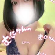 ヒメ日記 2026/09/05 17:49 投稿 ノノカ 姫路ラビット