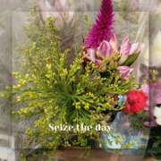 ヒメ日記 2024/12/26 09:50 投稿 さくら 一夜の華