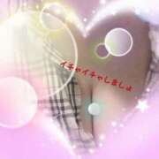 ヒメ日記 2025/04/15 08:51 投稿 さくら 一夜の華