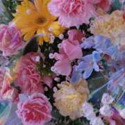 ヒメ日記 2025/04/15 12:03 投稿 さくら 一夜の華