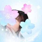 ヒメ日記 2025/04/21 10:08 投稿 さくら 一夜の華