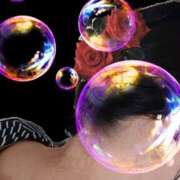 ヒメ日記 2025/04/22 09:01 投稿 さくら 一夜の華