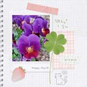 ヒメ日記 2025/06/09 13:10 投稿 さくら 一夜の華