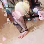 ヒメ日記 2025/06/13 08:04 投稿 さくら 一夜の華