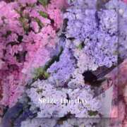 ヒメ日記 2025/06/17 17:21 投稿 さくら 一夜の華