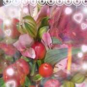 ヒメ日記 2025/07/30 00:03 投稿 さくら 一夜の華