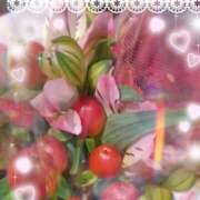 ヒメ日記 2025/08/28 11:37 投稿 さくら 一夜の華