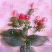 ヒメ日記 2025/10/14 22:42 投稿 さくら 一夜の華