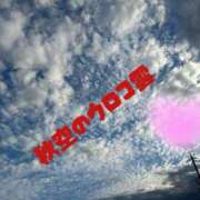 ヒメ日記 2025/10/15 15:33 投稿 さくら 一夜の華