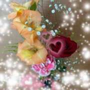 ヒメ日記 2025/12/16 15:51 投稿 さくら 一夜の華