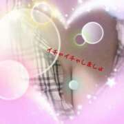 ヒメ日記 2025/12/22 08:57 投稿 さくら 一夜の華