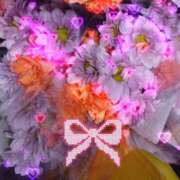 ヒメ日記 2025/12/29 02:35 投稿 さくら 一夜の華