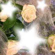 ヒメ日記 2026/01/12 23:08 投稿 さくら 一夜の華