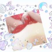 ヒメ日記 2026/02/20 12:01 投稿 さくら 一夜の華