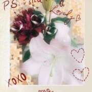 ヒメ日記 2026/03/17 23:10 投稿 さくら 一夜の華