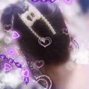 ヒメ日記 2026/03/27 12:39 投稿 さくら 一夜の華