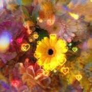 ヒメ日記 2026/03/29 21:04 投稿 さくら 一夜の華