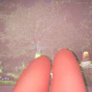 ヒメ日記 2025/03/19 16:36 投稿 れのん Las Vegas(新潟)