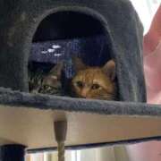 ヒメ日記 2026/04/05 18:32 投稿 のぞみ 奥様特急　池袋・大塚店