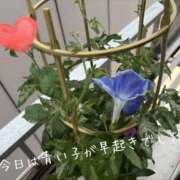 ヒメ日記 2025/06/30 08:45 投稿 まり 出会い系人妻ネットワーク 上野〜大塚編