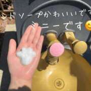 ヒメ日記 2025/07/28 08:45 投稿 まり 出会い系人妻ネットワーク 上野〜大塚編