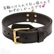 ヒメ日記 2025/07/30 08:45 投稿 まり 出会い系人妻ネットワーク 上野〜大塚編