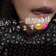 ヒメ日記 2025/12/08 08:53 投稿 まり 出会い系人妻ネットワーク 上野〜大塚編