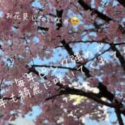 ヒメ日記 2026/03/24 09:02 投稿 まり 出会い系人妻ネットワーク 上野〜大塚編