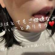 ヒメ日記 2026/03/26 09:02 投稿 まり 出会い系人妻ネットワーク 上野〜大塚編