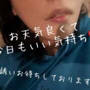 ヒメ日記 2026/04/05 09:54 投稿 まり 出会い系人妻ネットワーク 上野〜大塚編