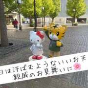 ヒメ日記 2026/10/10 15:13 投稿 まり 出会い系人妻ネットワーク 上野〜大塚編