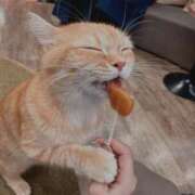 ヒメ日記 2025/02/04 12:01 投稿 りり 東京人妻セレブリティ（ユメオト）