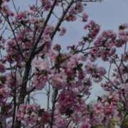 ヒメ日記 2025/03/28 21:44 投稿 りり 東京人妻セレブリティ（ユメオト）