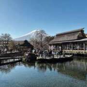 ヒメ日記 2026/03/19 14:47 投稿 りり 東京人妻セレブリティ（ユメオト）