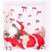 ヒメ日記 2024/12/18 18:01 投稿 まや G-1八戸