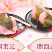 ヒメ日記 2025/02/28 08:45 投稿 まや G-1八戸