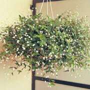 ヒメ日記 2025/04/18 18:28 投稿 まや G-1八戸