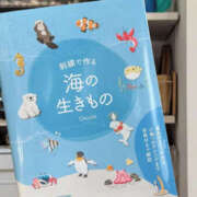 ヒメ日記 2026/02/23 08:21 投稿 まや G-1八戸