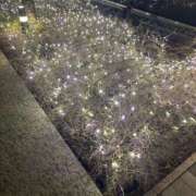 ヒメ日記 2025/12/15 22:50 投稿 ももか キスMy