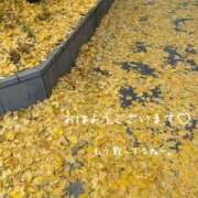 ヒメ日記 2025/12/15 09:23 投稿 さゆり 府中ダービー