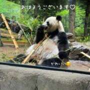 さゆり 【お礼写メ日記】 府中ダービー