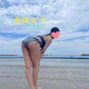 ヒメ日記 2025/06/08 05:39 投稿 おはよう☀️今日も良い日だ！ GOOD-グッド-