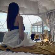 ヒメ日記 2025/12/15 13:44 投稿 おはよう☀️今日も良い日だ！ GOOD-グッド-