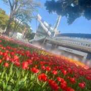 ヒメ日記 2025/04/15 13:19 投稿 ゆり 華椿（YESグループヨコハマ）