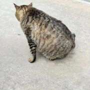 ヒメ日記 2025/09/30 11:16 投稿 しずく 三浦屋別館